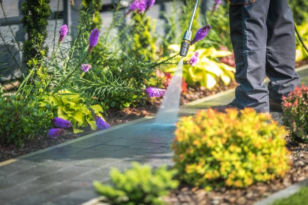 Best Driveway Pressure Washing  in Navarre, FL
